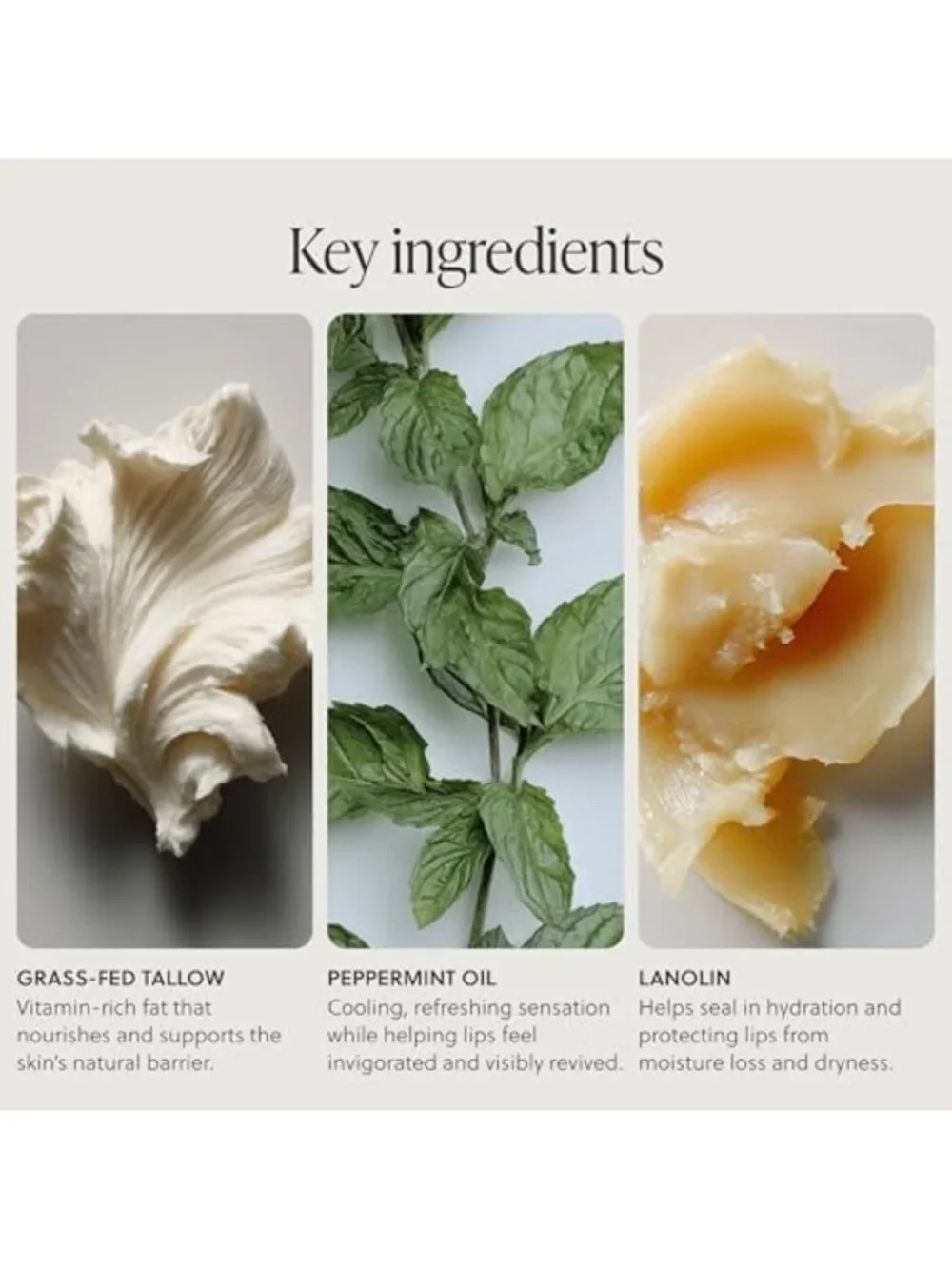Moisturizing Peppermint Lip Balm - Grass-Fed Tallow, Natural & Nourishing